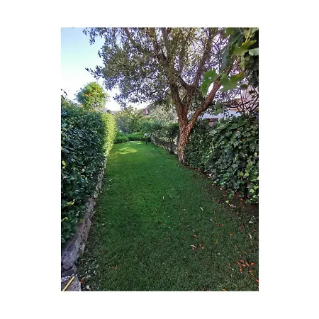 Διαμέρισμα Alzoni San Teodoro (Sardinia)