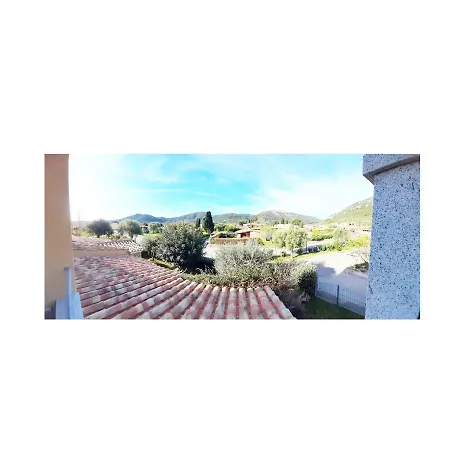 Alzoni *