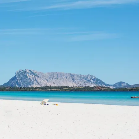 Alzoni Daire San Teodoro (Sardinia)