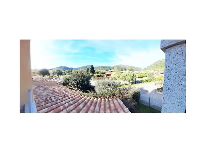 Alzoni *